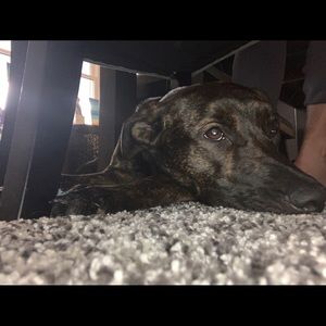 Meet your Posher, Denise